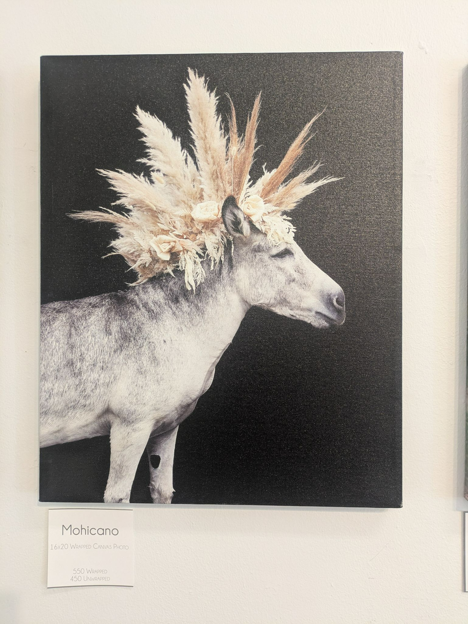 Culture Collective: SOMA's Open Studios